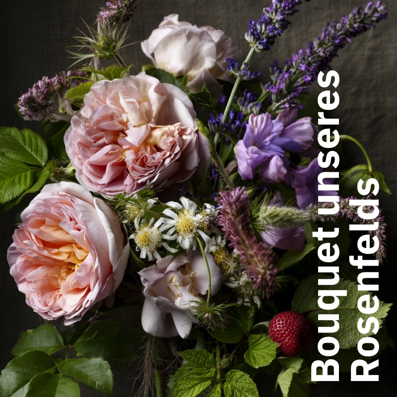 Tee Rosenfeld mit Rose, Lavendel und Pomeranze - Nachfüllbeutel