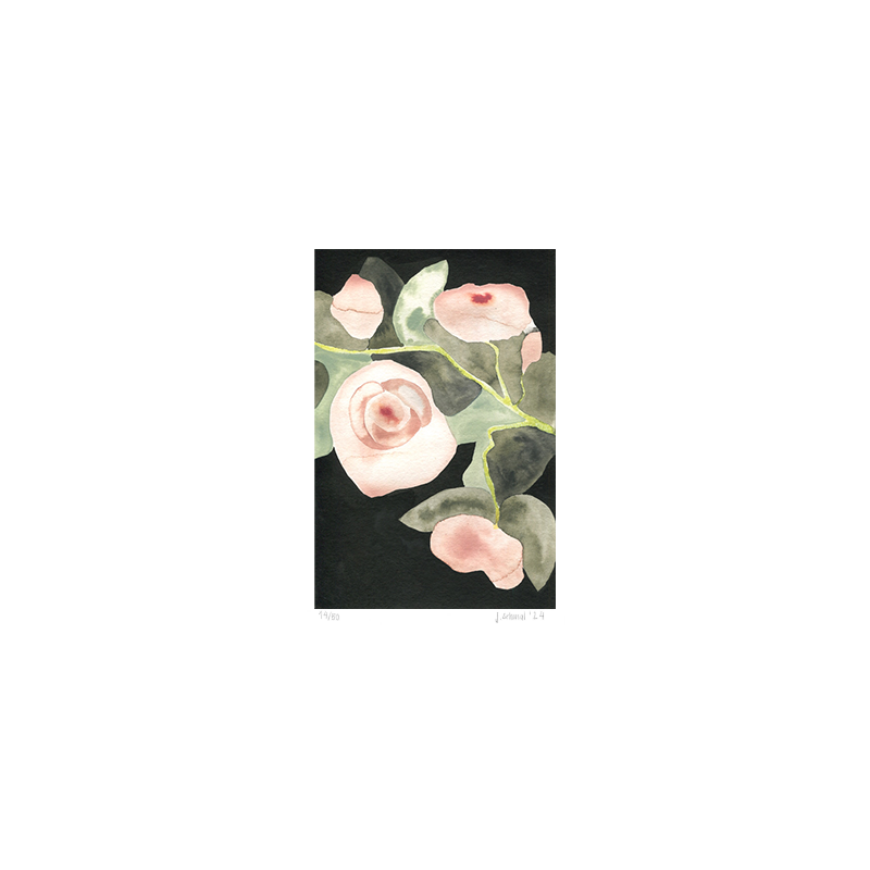 limitierte und signierte Aquarelldrucke