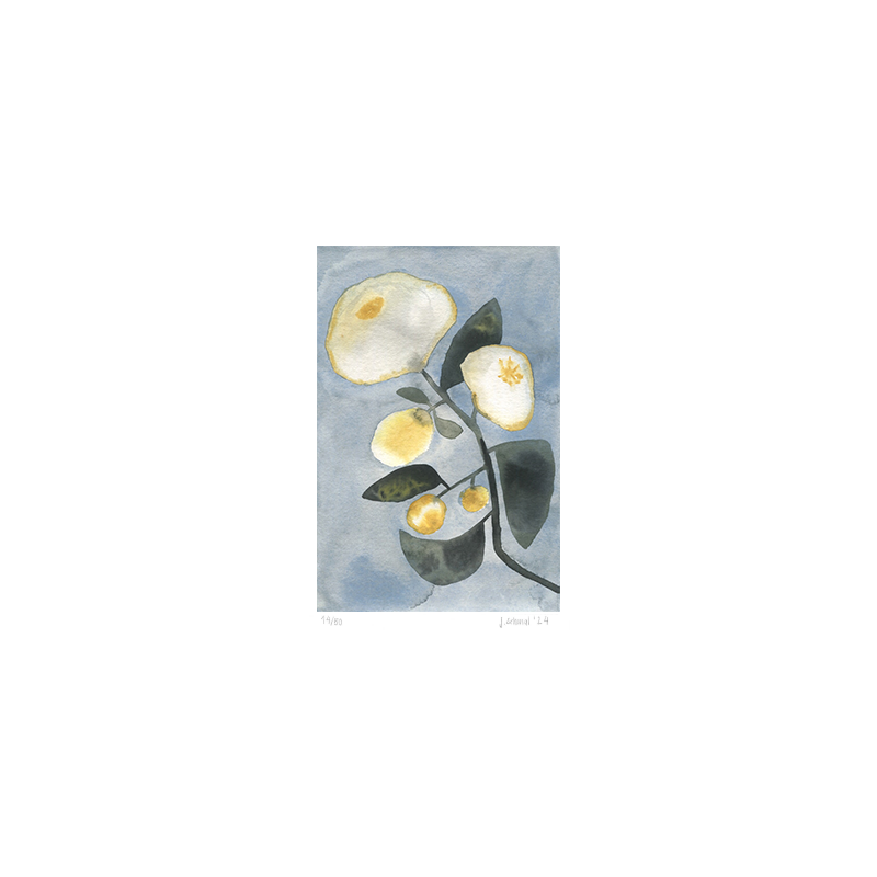 limitierte und signierte Aquarelldrucke