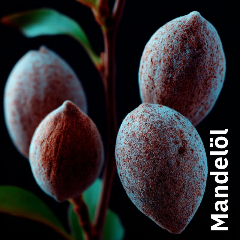 Nährender Balsam mit Johanniskraut & Rose