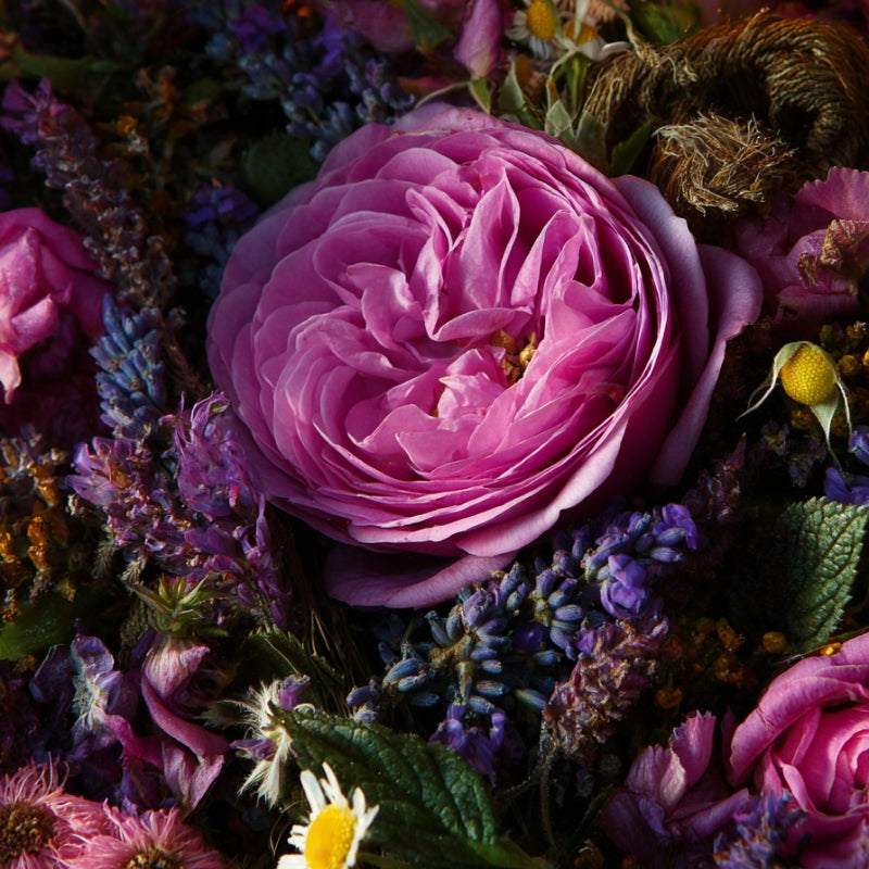 Kräutertee Rosenfeld - mit Rose, Lavendel und Pomeranze