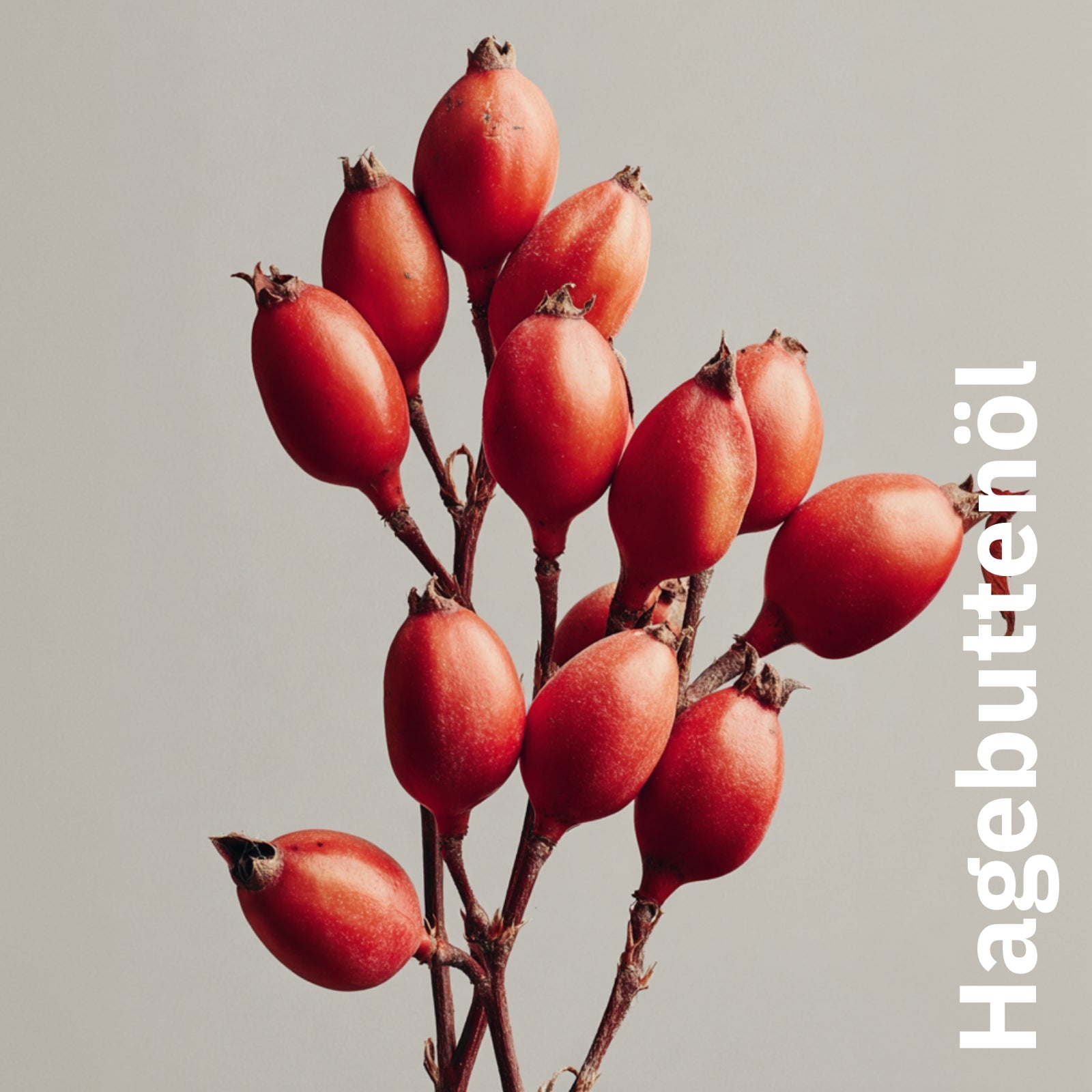 maijuni Vitamin - Gesichtsöl mit den wichtigsten Vitaminen aus 5 wertvollen Pflanzenölen