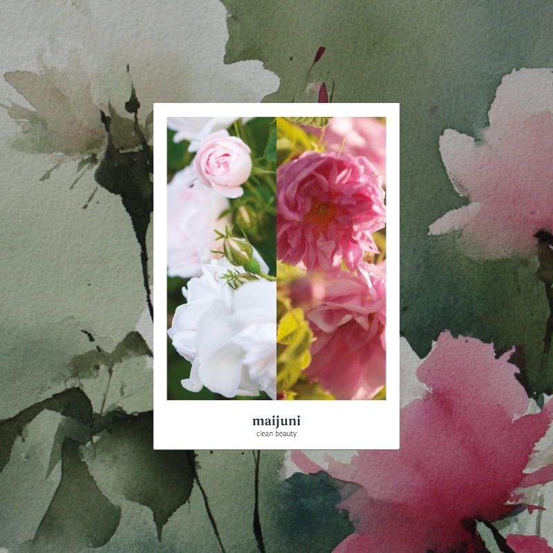 Tee Rosenduett aus weißer Albarose und Damaszenerrose - Nachfüllpackung