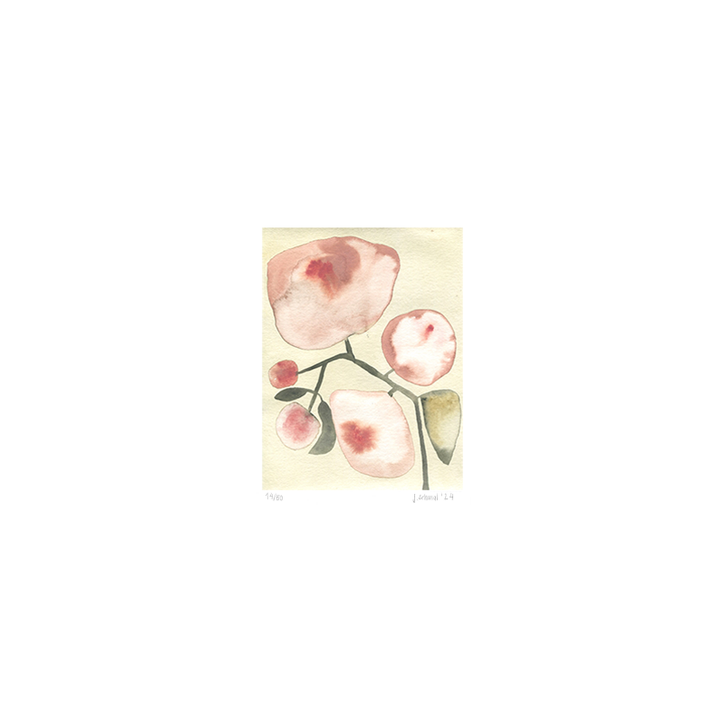 limitierte und signierte Aquarelldrucke