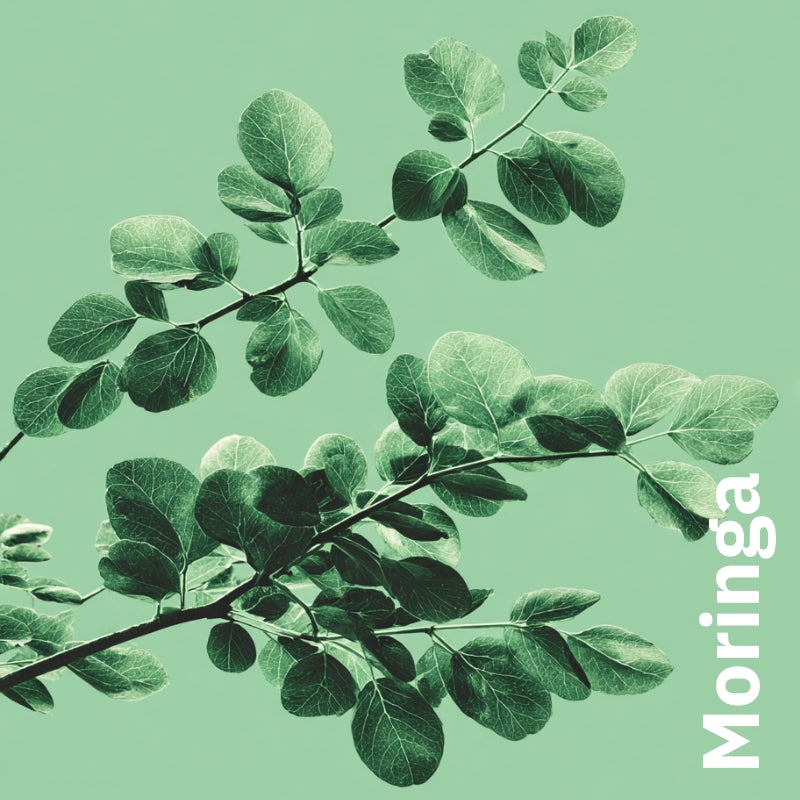 Set Vitamine für elastische und strahlende Haut