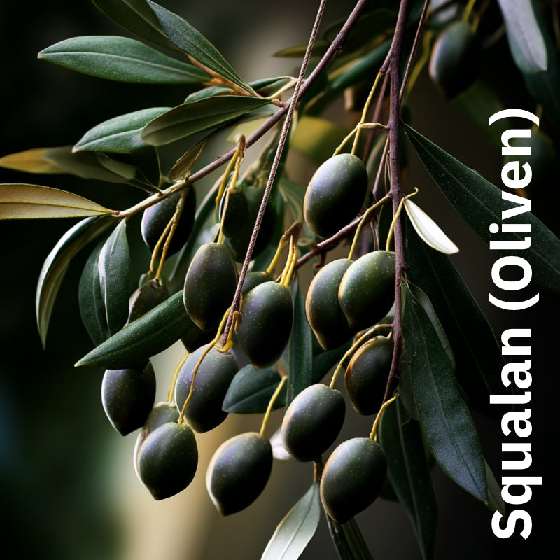 Nährender Balsam mit Johanniskraut & Rose