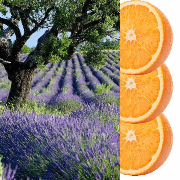 maijuni Lavendelöl mit Süssorange